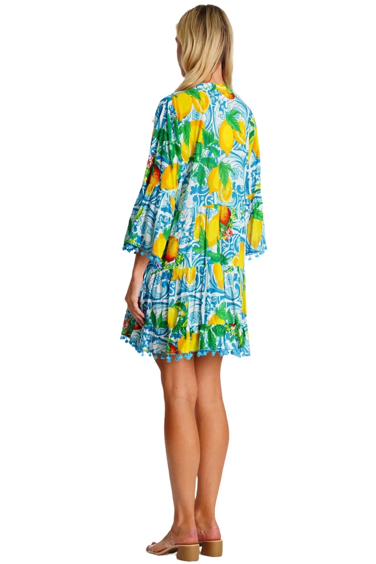 Embroidered Shirt Dress  La Moda Clothing